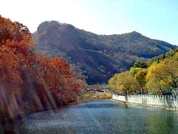 澳门二四六天天彩图库，钛网板